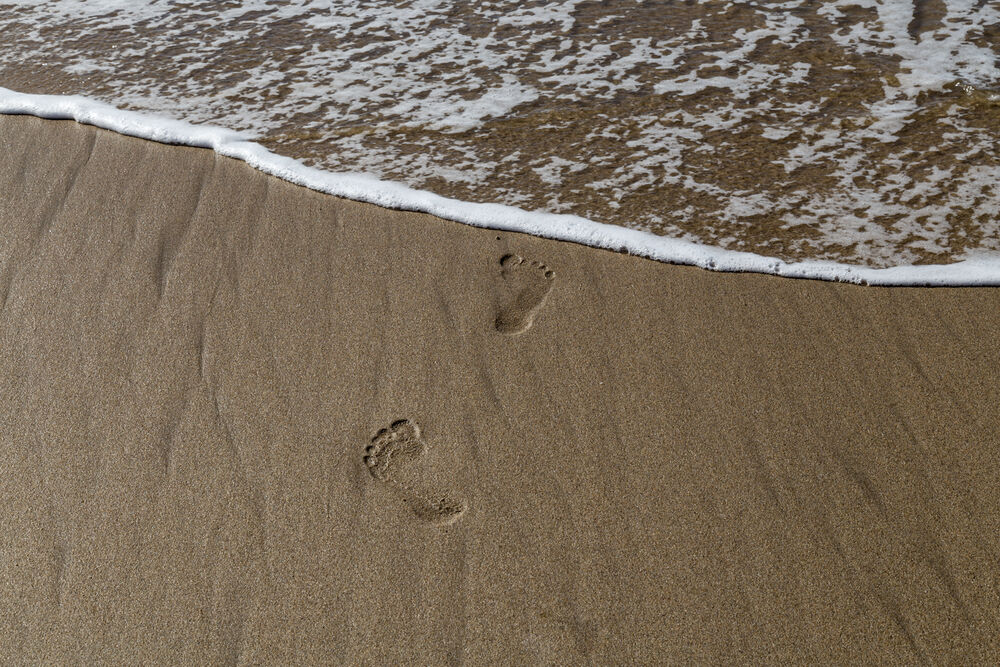 Into the Sea